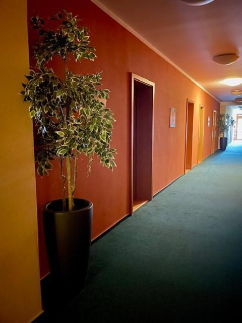 Hotel U Milina Exterior photo